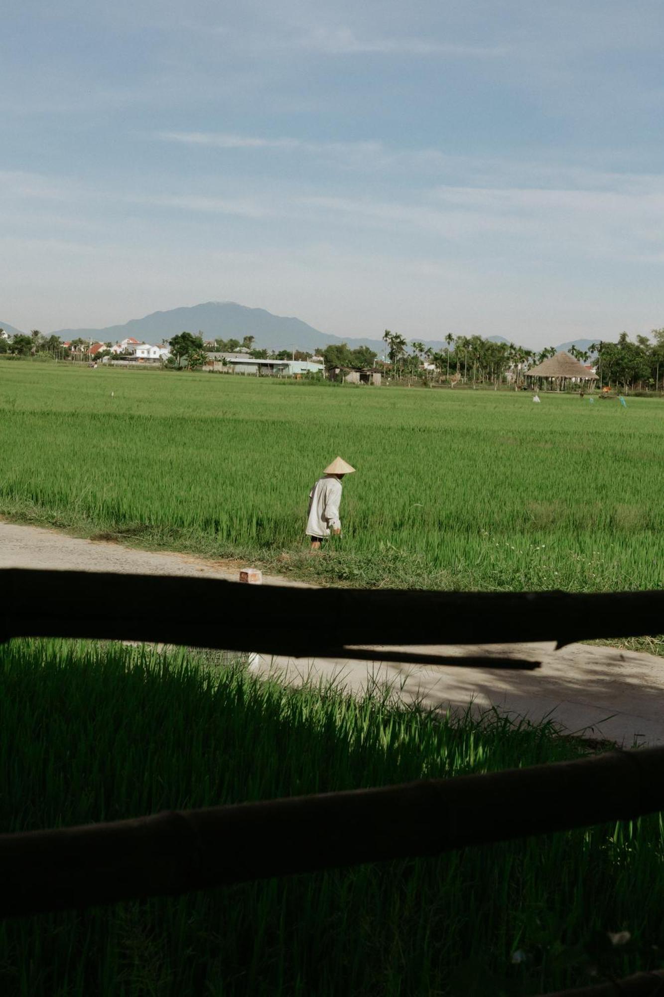 Heron House Hoi An Exterior foto