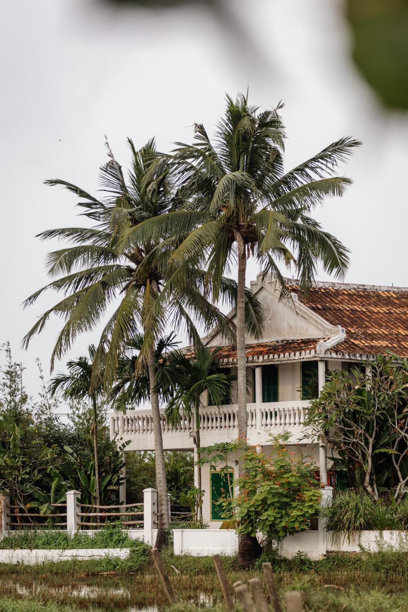 Heron House Hoi An Exterior foto